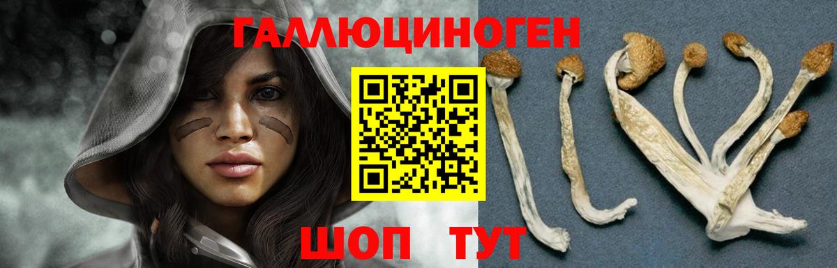 Галлюциногенные грибы Magic Shrooms Краснокамск